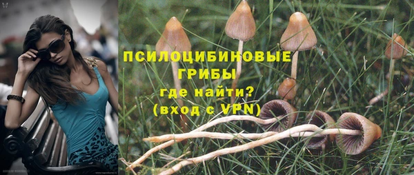 эйфоретик Баксан