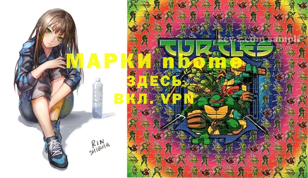 крисы Балахна