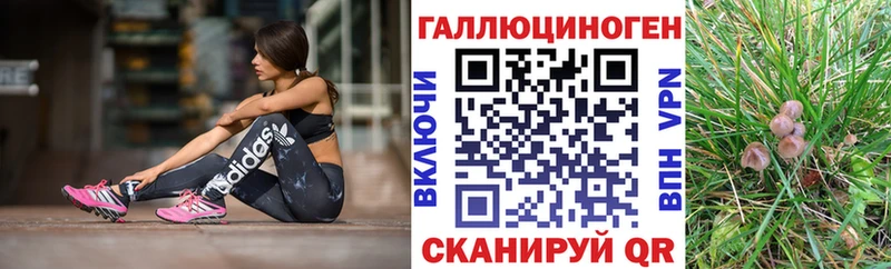 mega онион  Стрежевой  Галлюциногенные грибы Cubensis 
